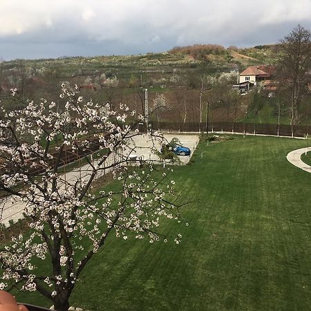Pensiunea Amurg Mesesenii de Sus Exterior photo